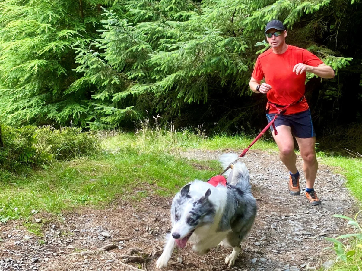 Lakeland Paws canicross series