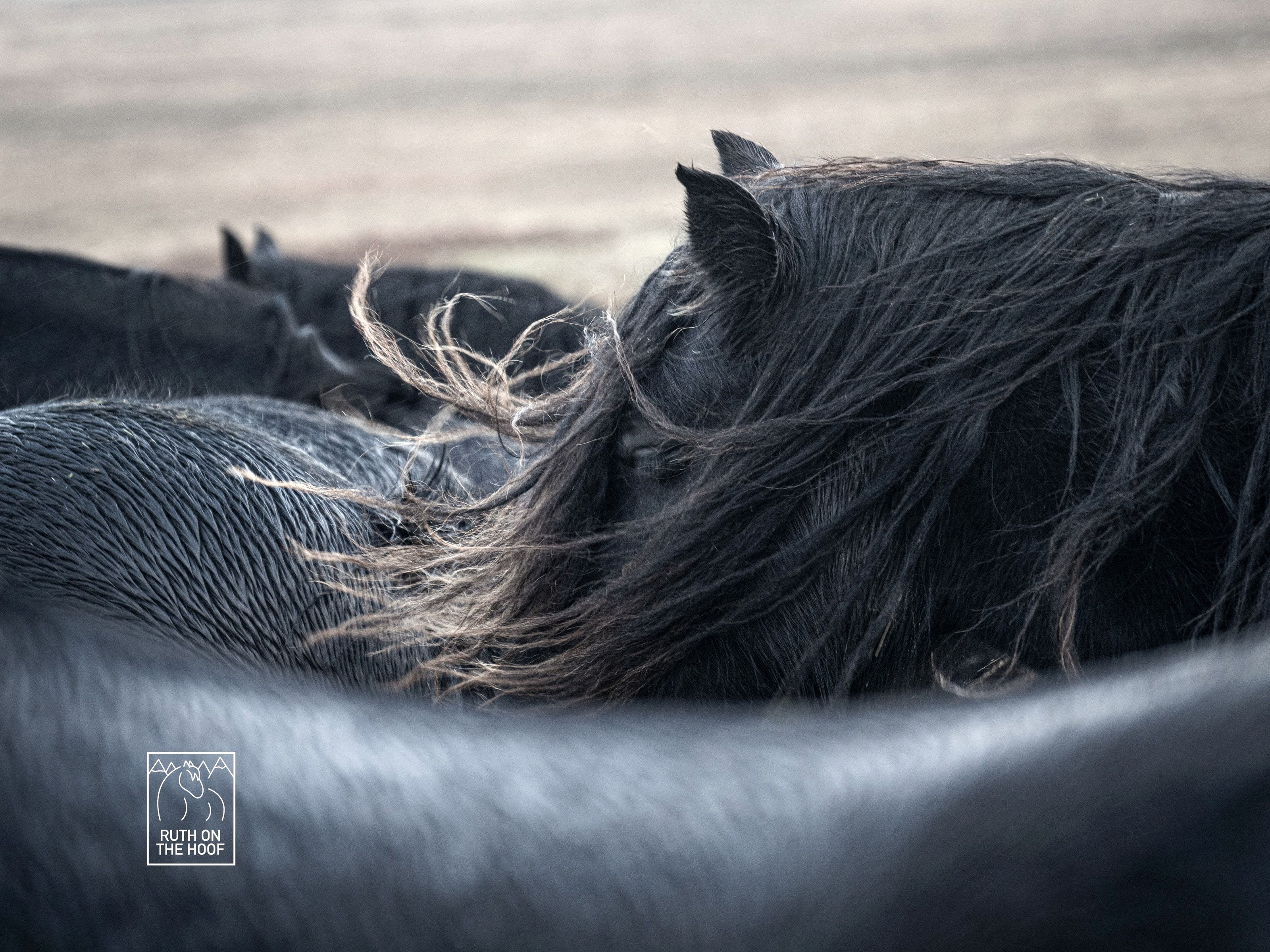 Image Credit: Ruth Chamberlain