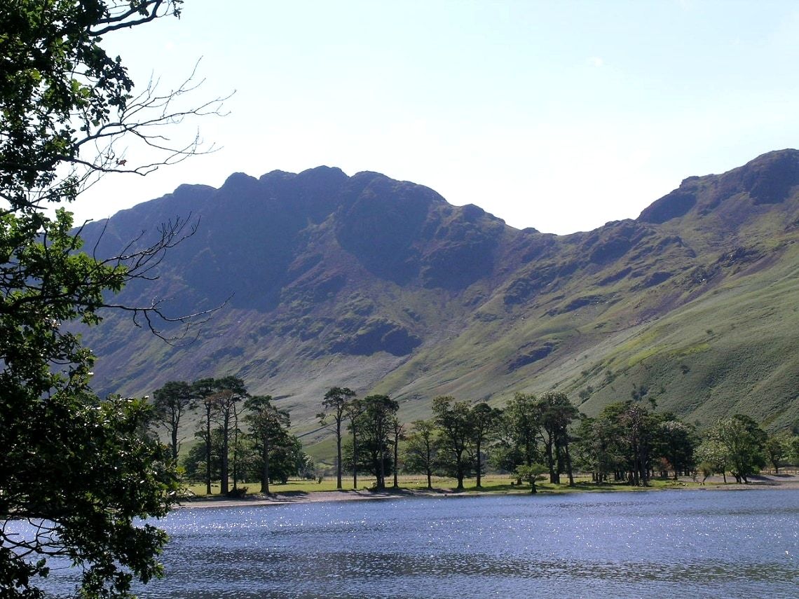 Buttermere with a row of dark pines along the near shore and steep fells beyond