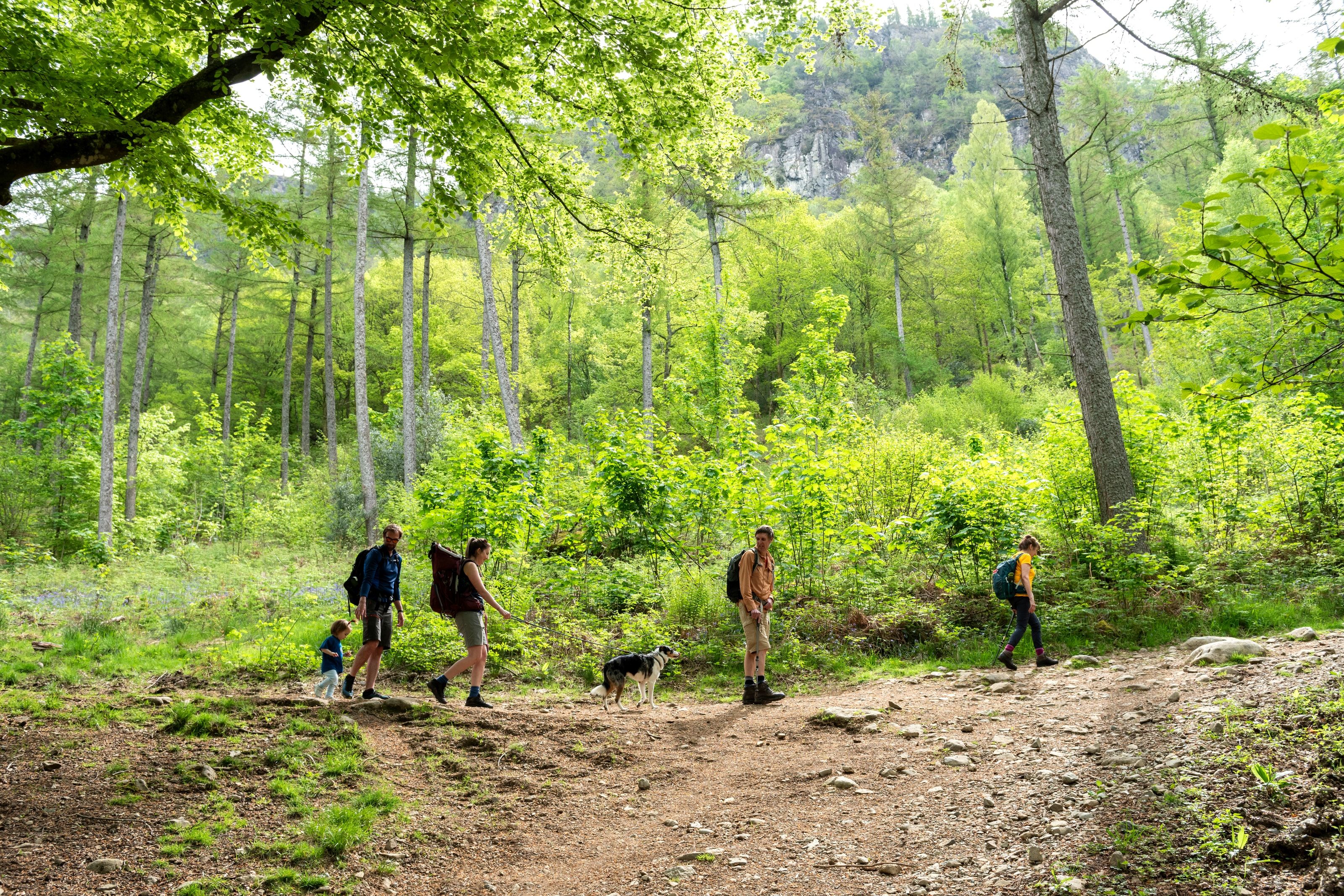 3 generations enjoying a walk in the rainforest at Great Wood in Borrowdale National Trust Images Paul Harris