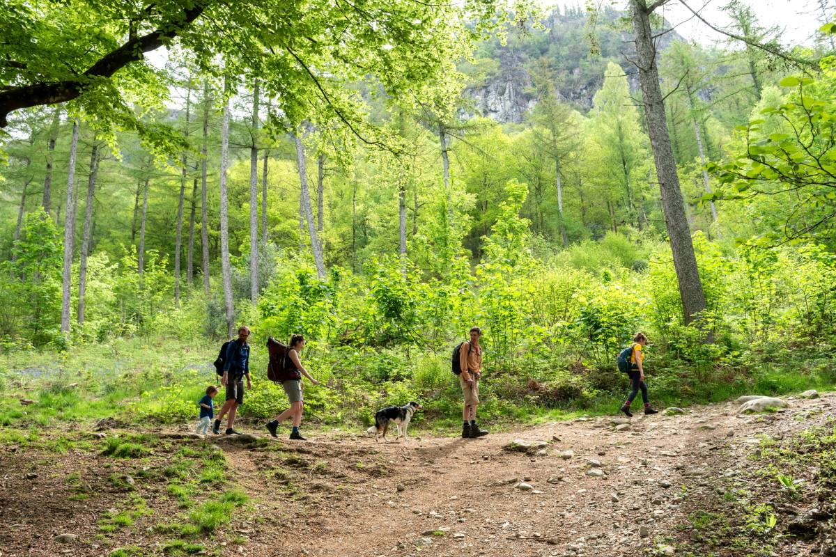 3 generations enjoying a walk in the rainforest at Great Wood in Borrowdale National Trust Images Paul Harris