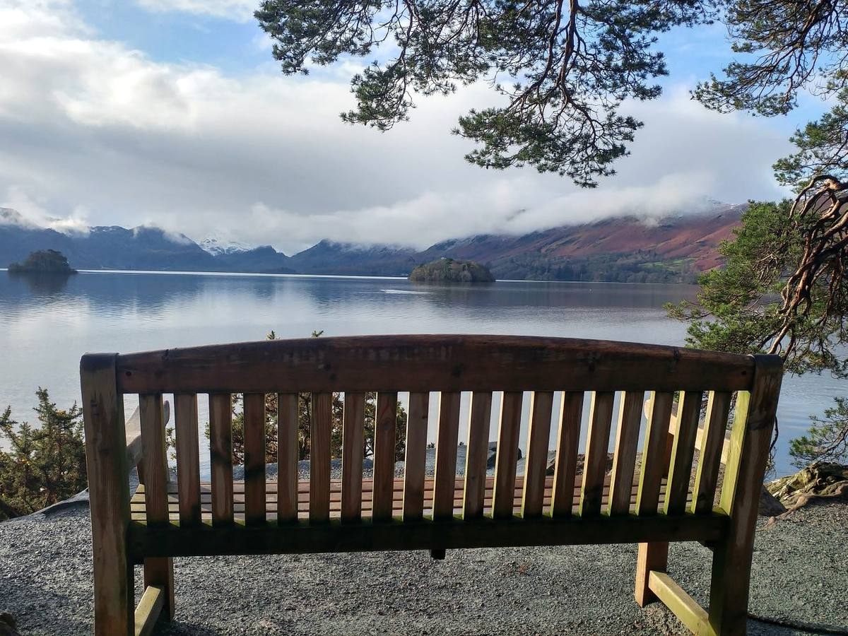 A wooden bench looking out over Derwentwater with pine branches overhead