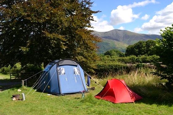 Tents at a local camp site