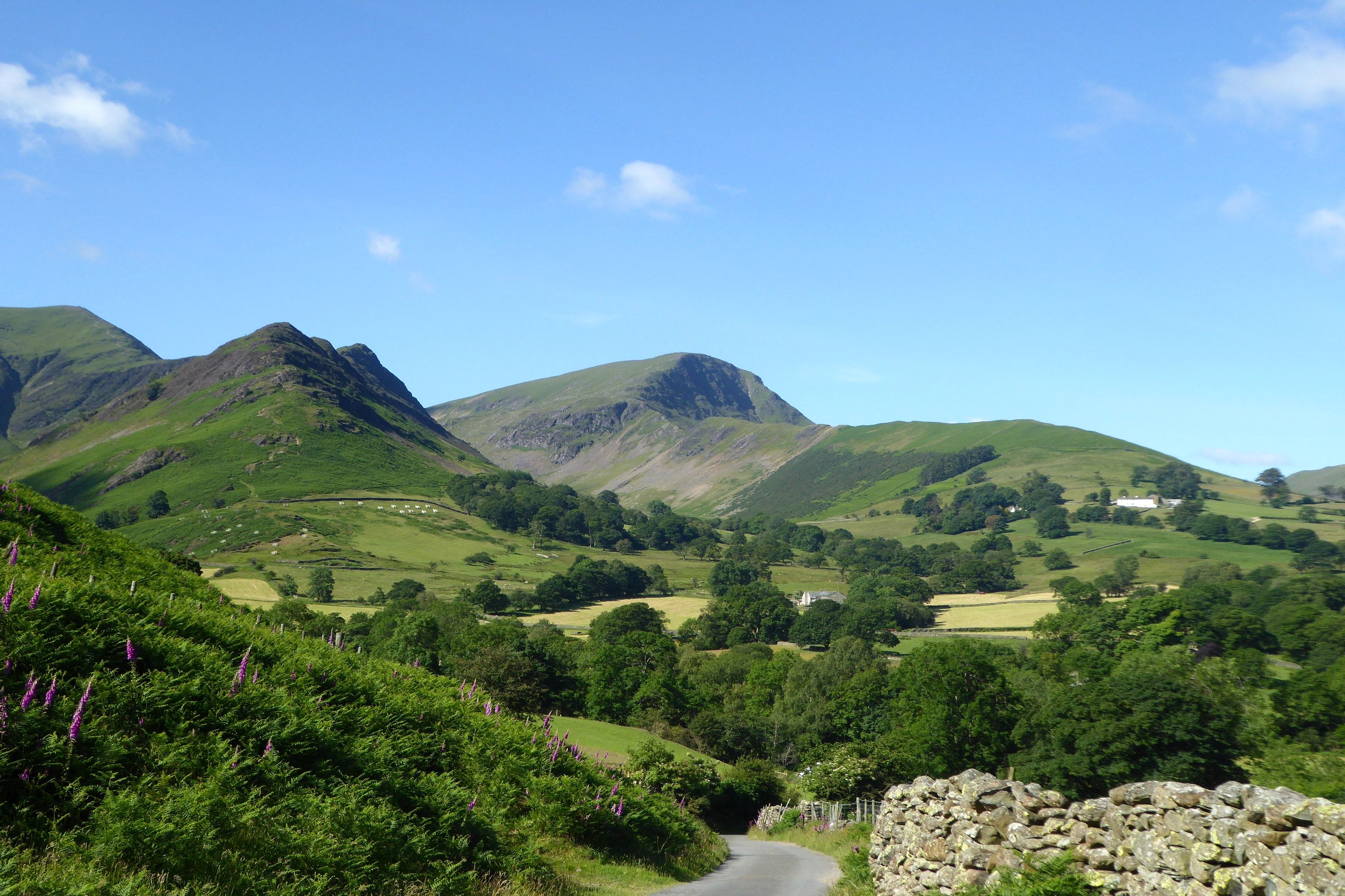 A valley of fields and farms seen across the top of a drystone wall with pointed fells beyond