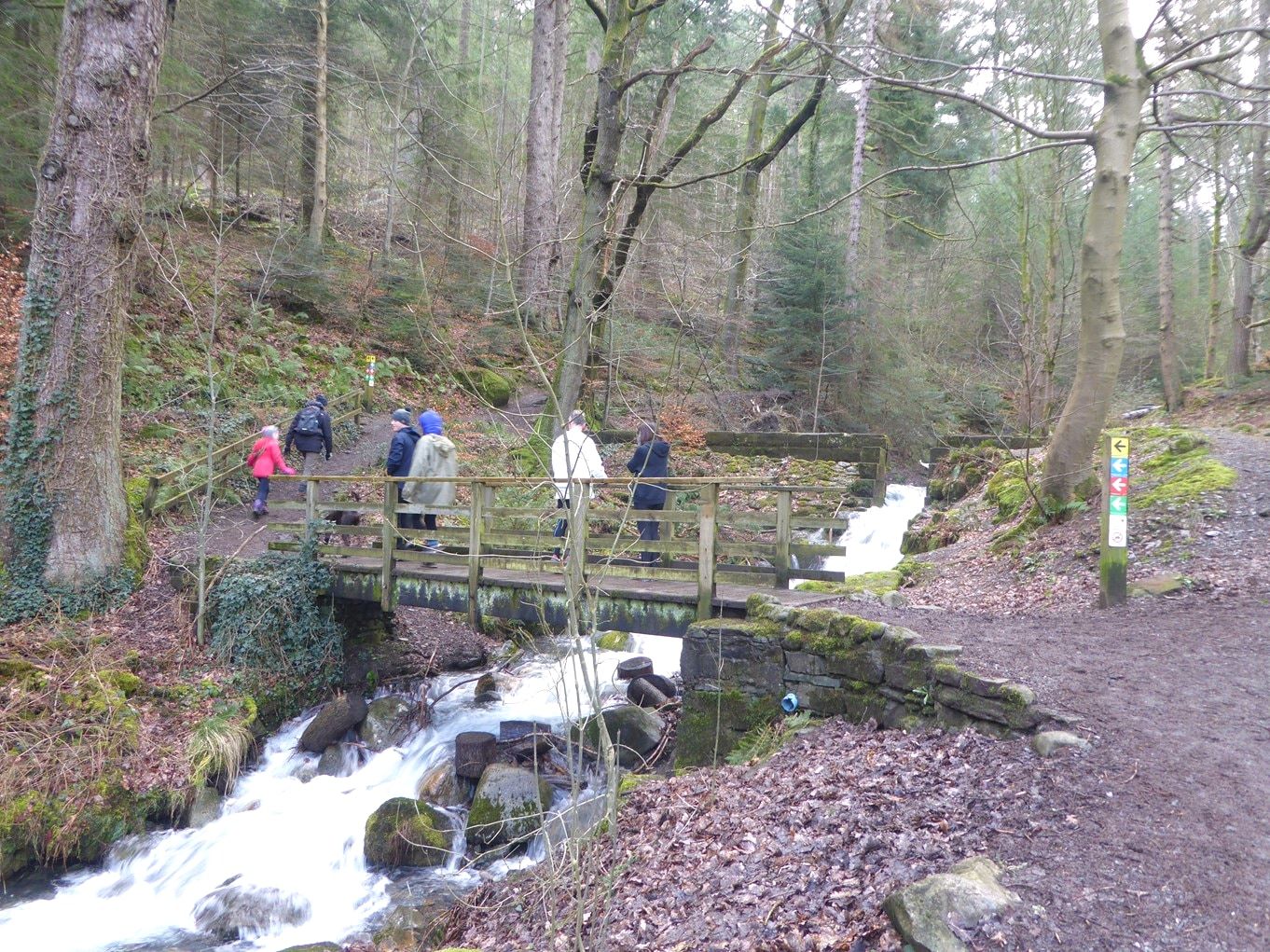 People gathered on the footbridge and banks beside a waterfall in the woods