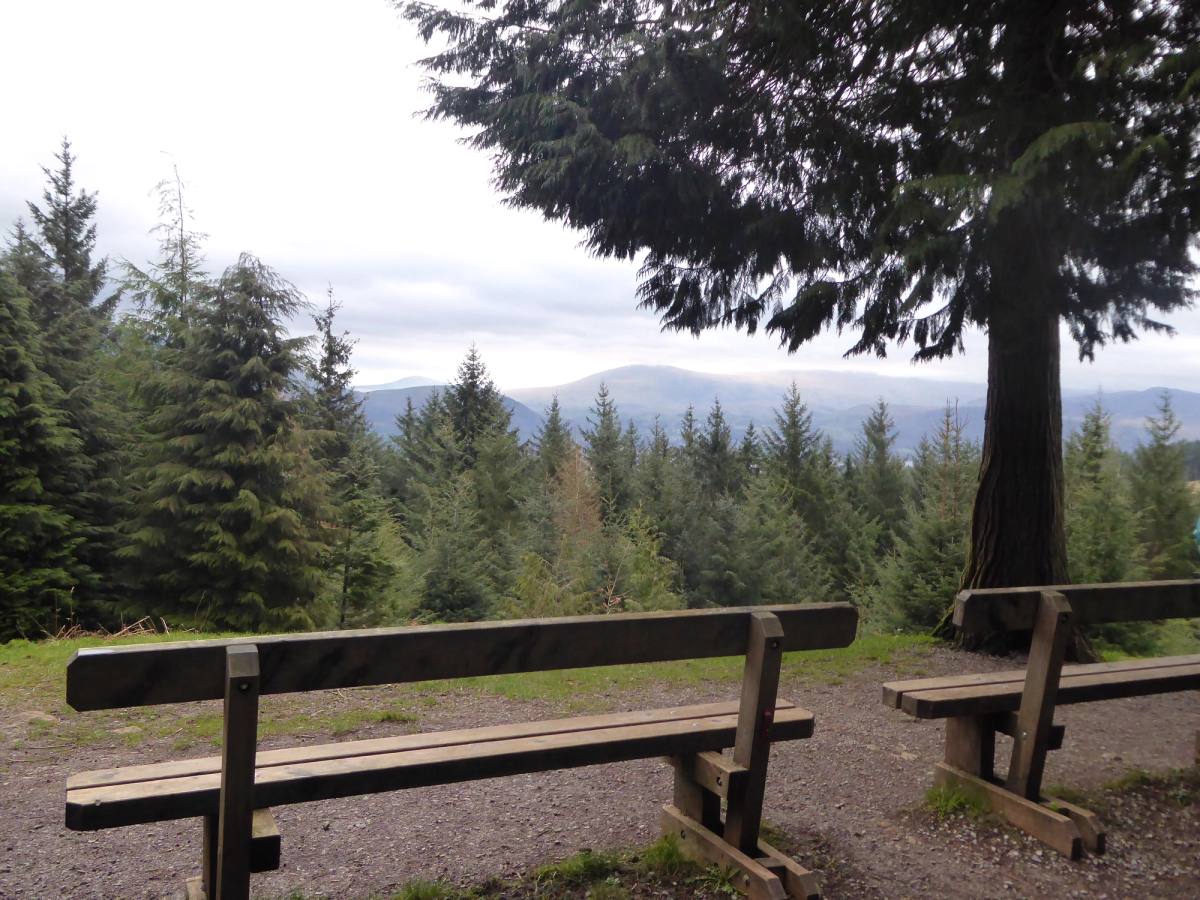 A wooden bench and picnic table in a forest clearing looking out to the fells