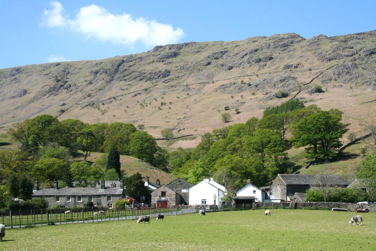 The white farmhouses of Stonethwaite in green pasture below a long bracken fell
