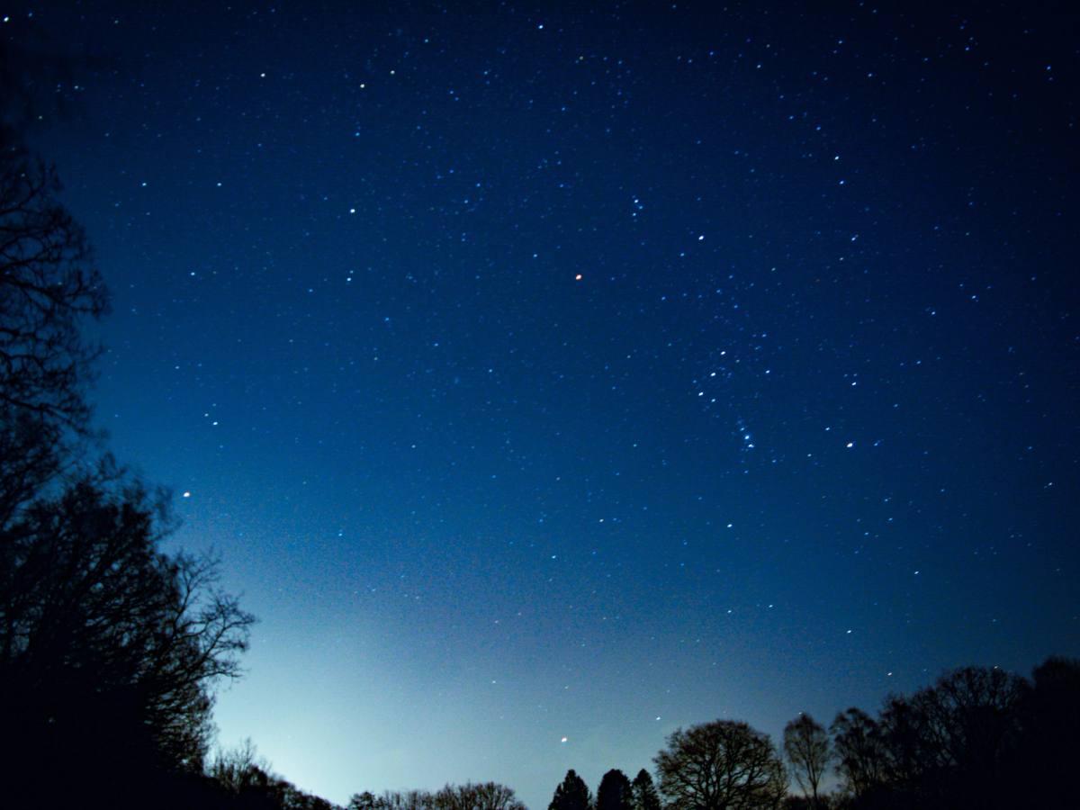 Nature's Nightlife Family Walk at Whinlatter Forest