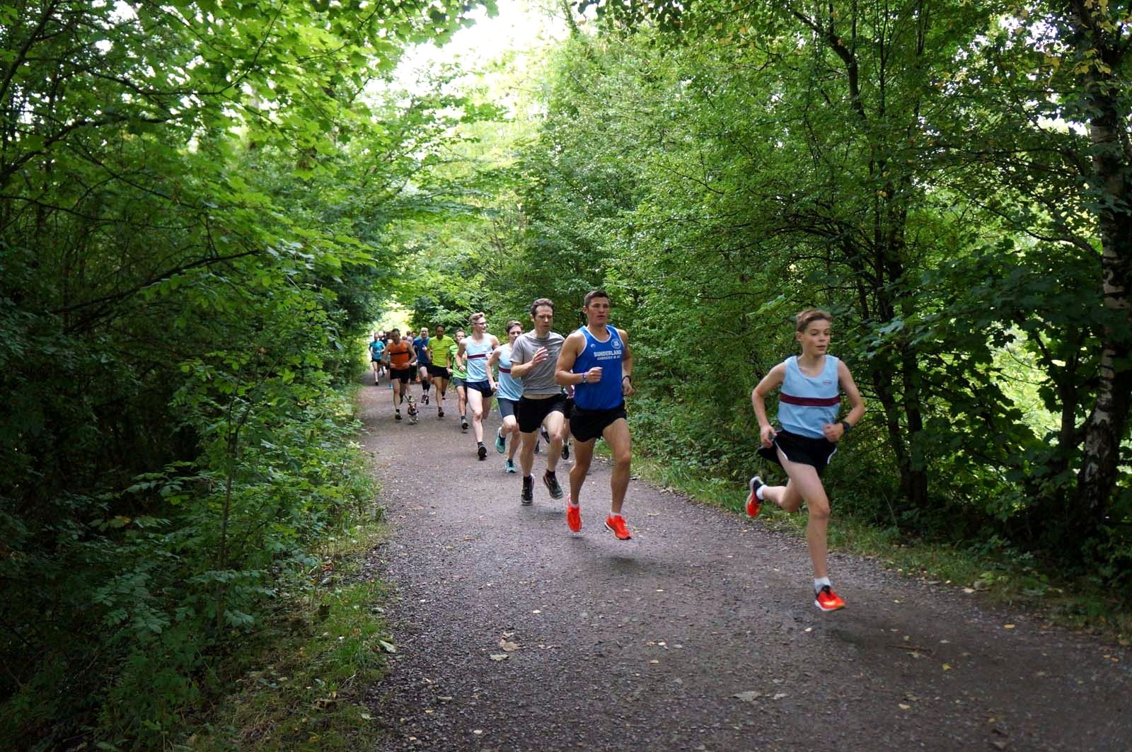 A field of race runners strung out along a wooded track