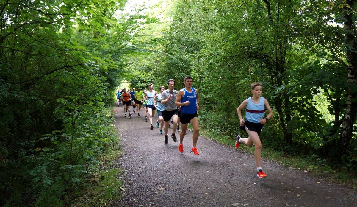 A field of race runners strung out along a wooded track