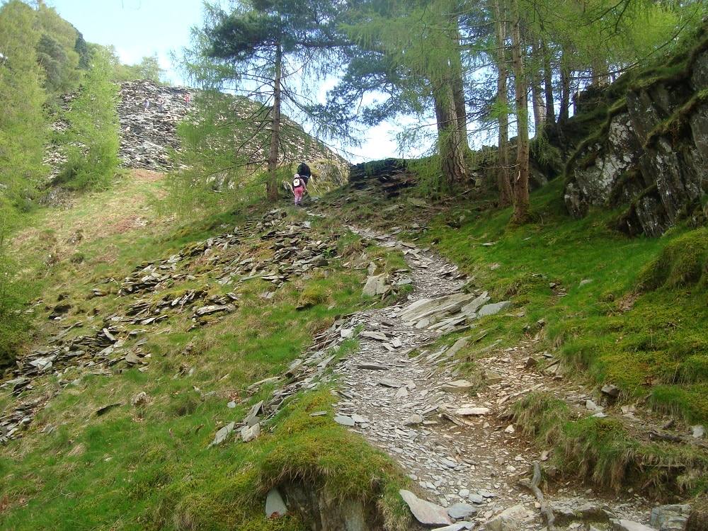 A walker climbing a rocky path through open woodland below a crag