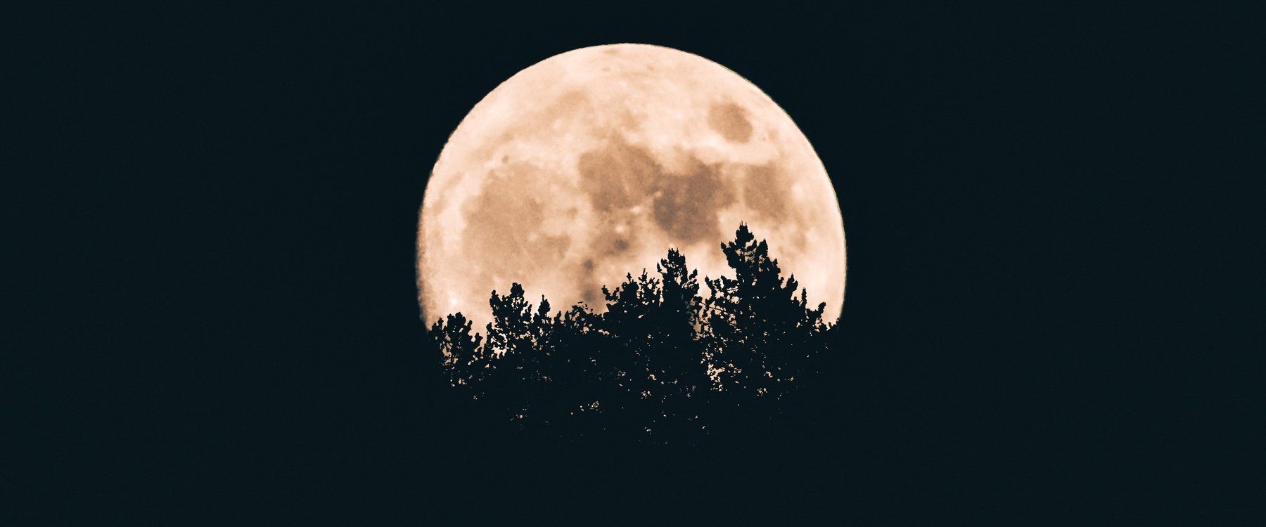 Full Moon Women’s Circle – Beaver Moon