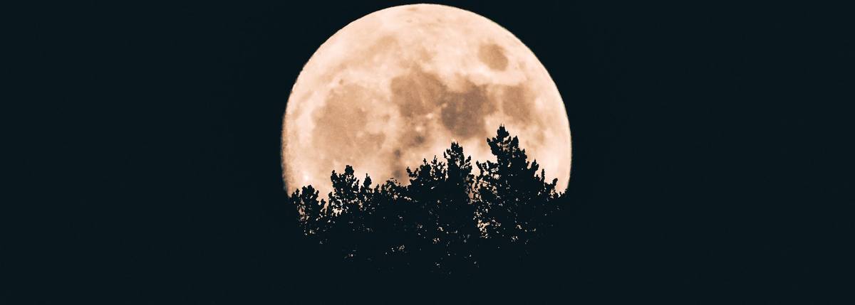 Full Moon Women’s Circle – Beaver Moon