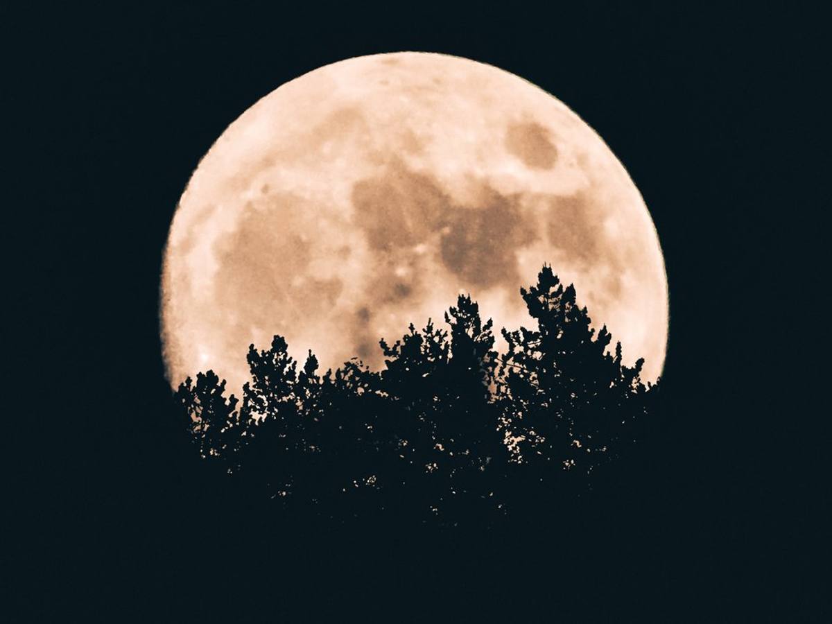 Full Moon Women’s Circle – Beaver Moon