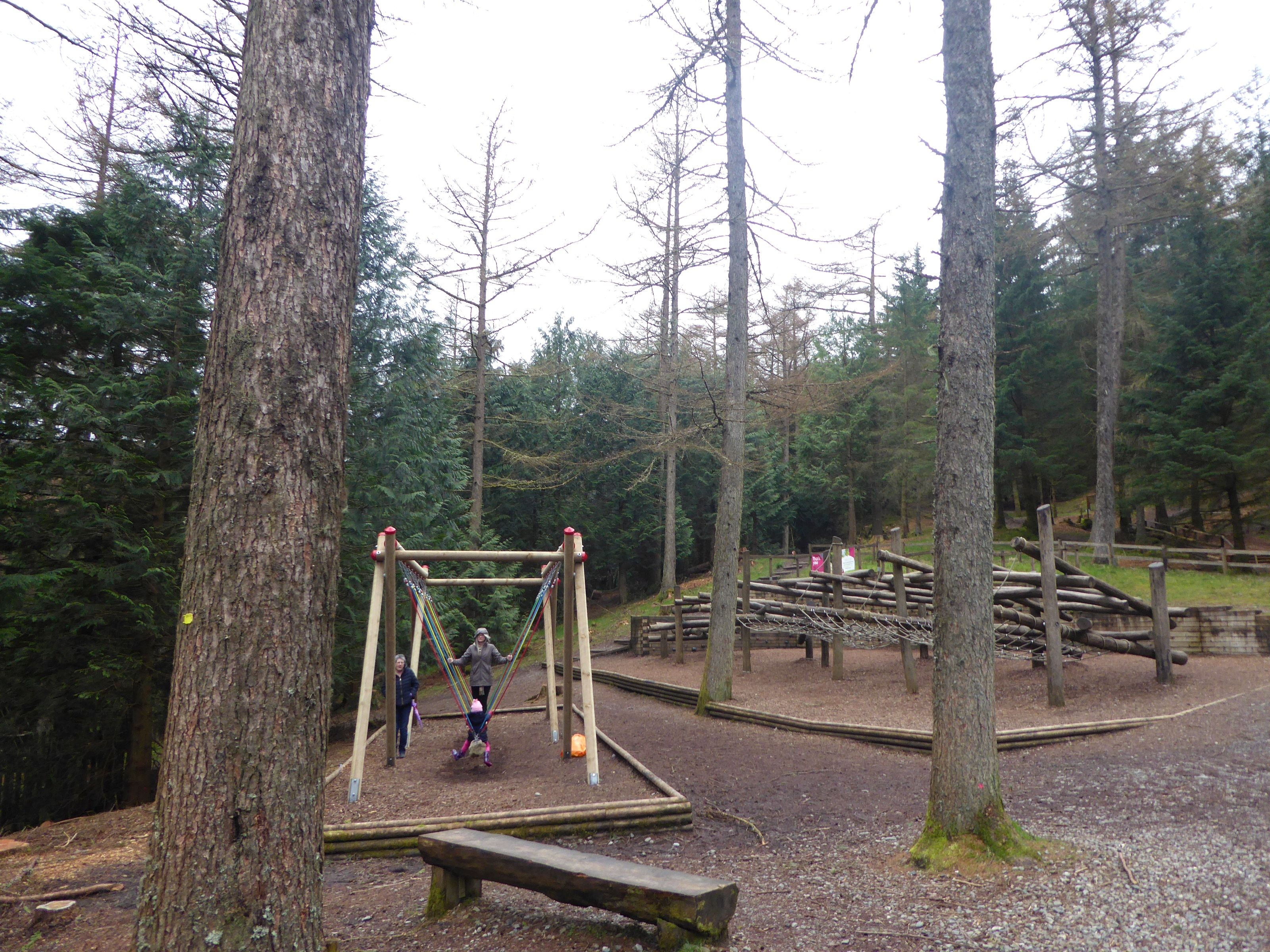 Swings and picnic tables in a clearing among tall conifers