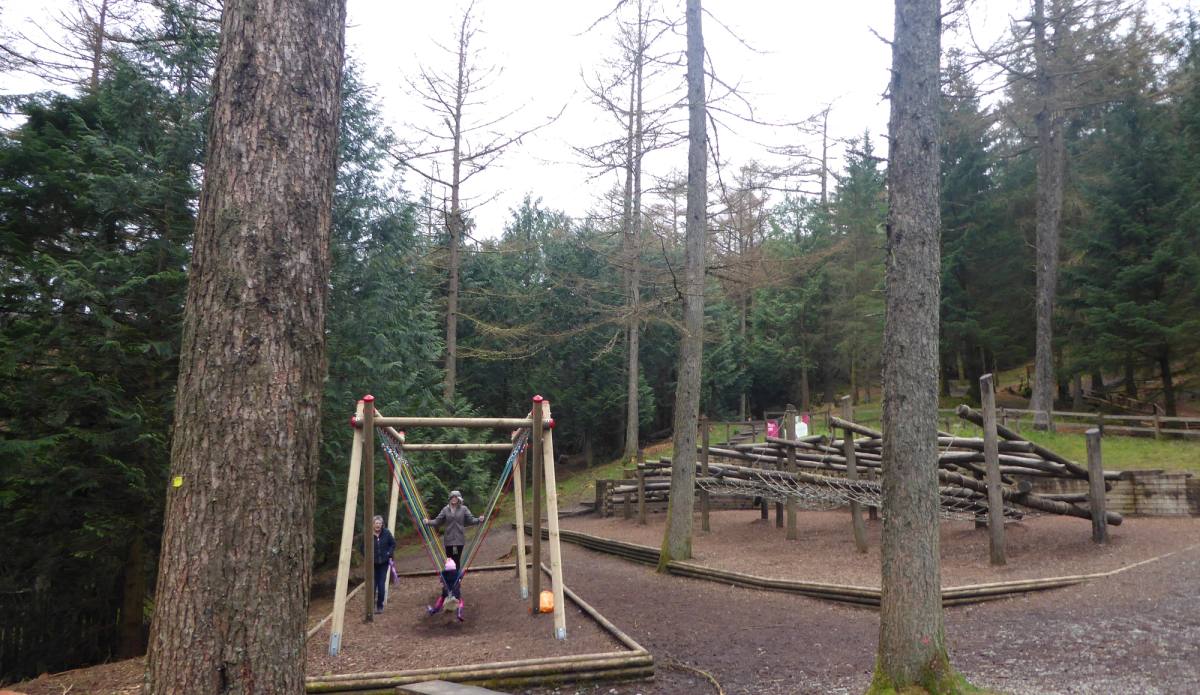 Swings and picnic tables in a clearing among tall conifers