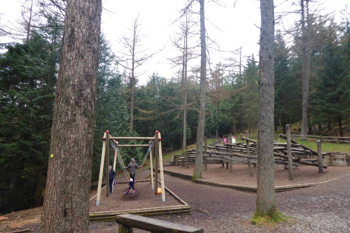 Swings and picnic tables in a clearing among tall conifers