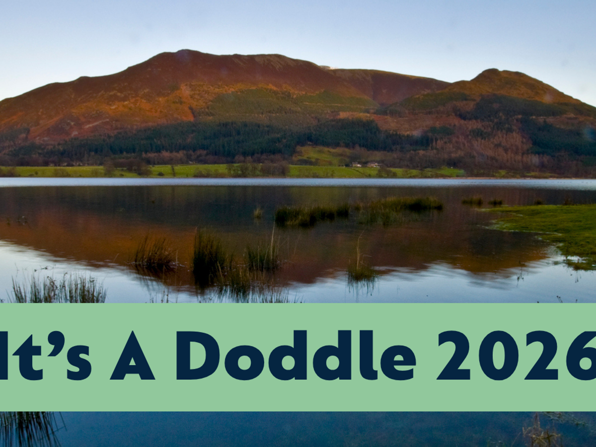 It's A Doddle