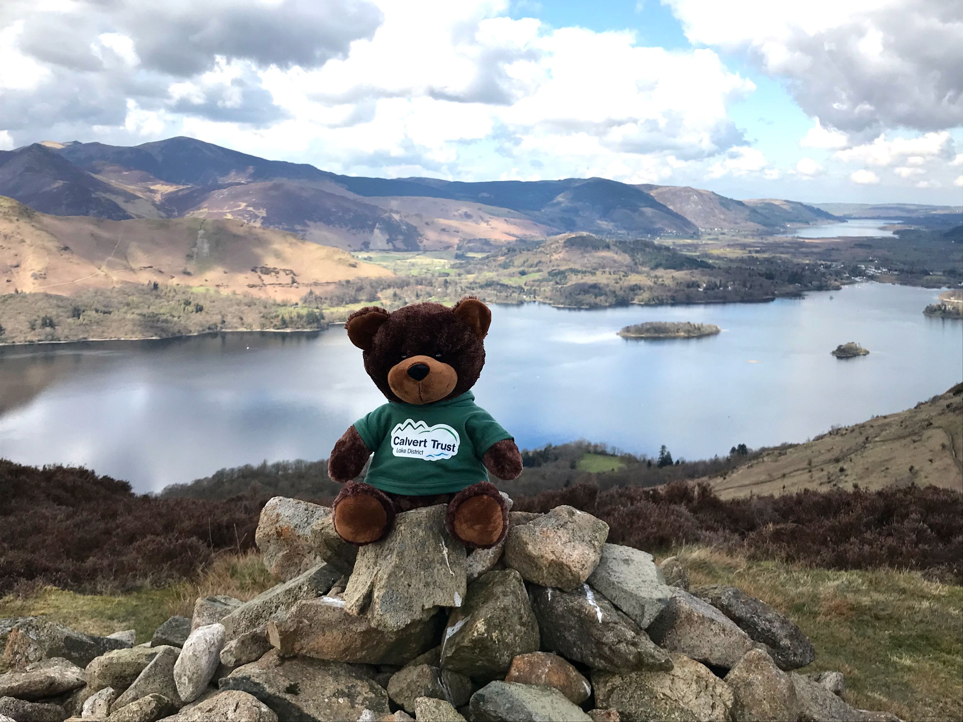 Calvert Bear’s preferred pose- sitting on a summit!