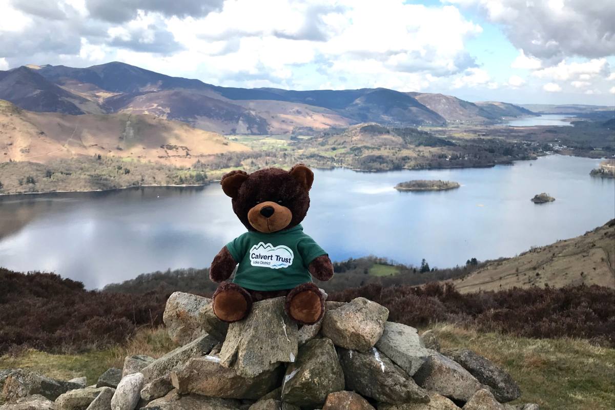 Calvert Bear’s preferred pose- sitting on a summit!