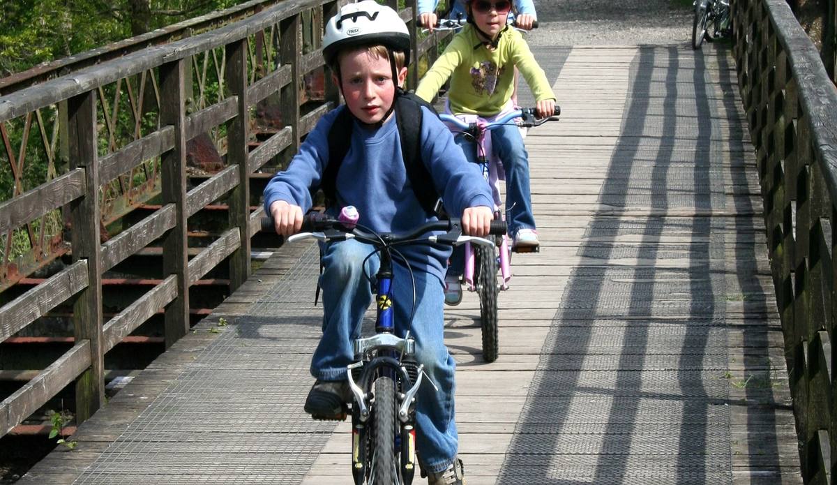 Children riding bikes along a raised timber boardwalk through the trees