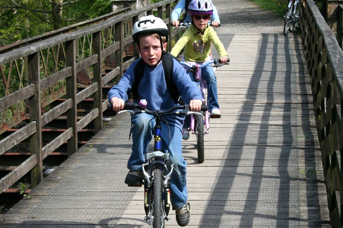 Children riding bikes along a raised timber boardwalk through the trees