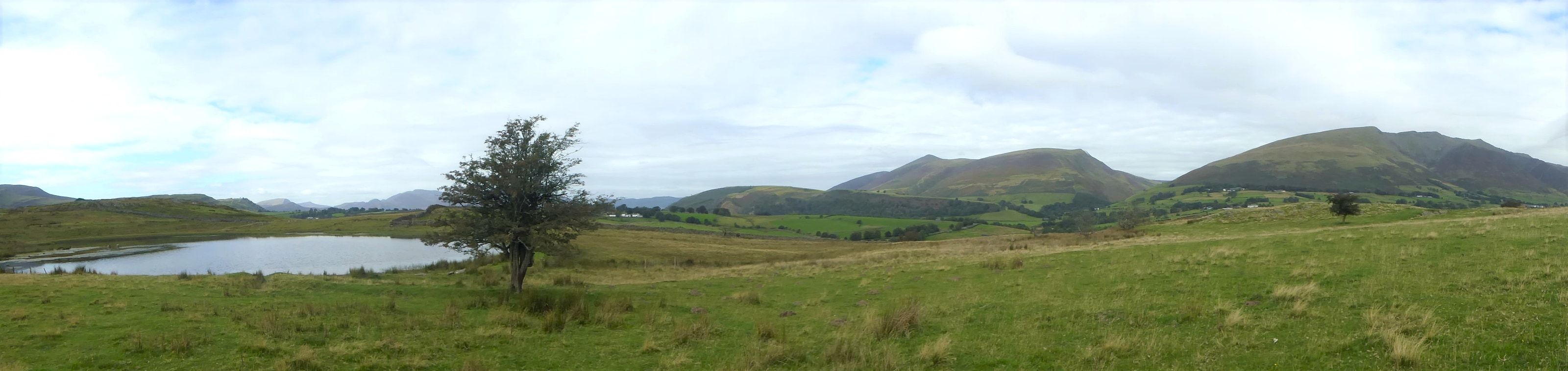 A quiet upland tarn with a single tree on its shore