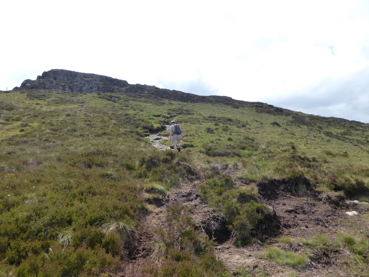 A peaty path crossing open moorland towards a rocky summit