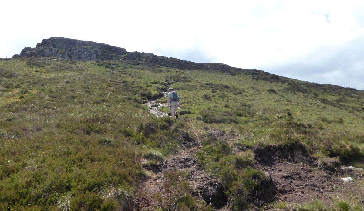 A peaty path crossing open moorland towards a rocky summit