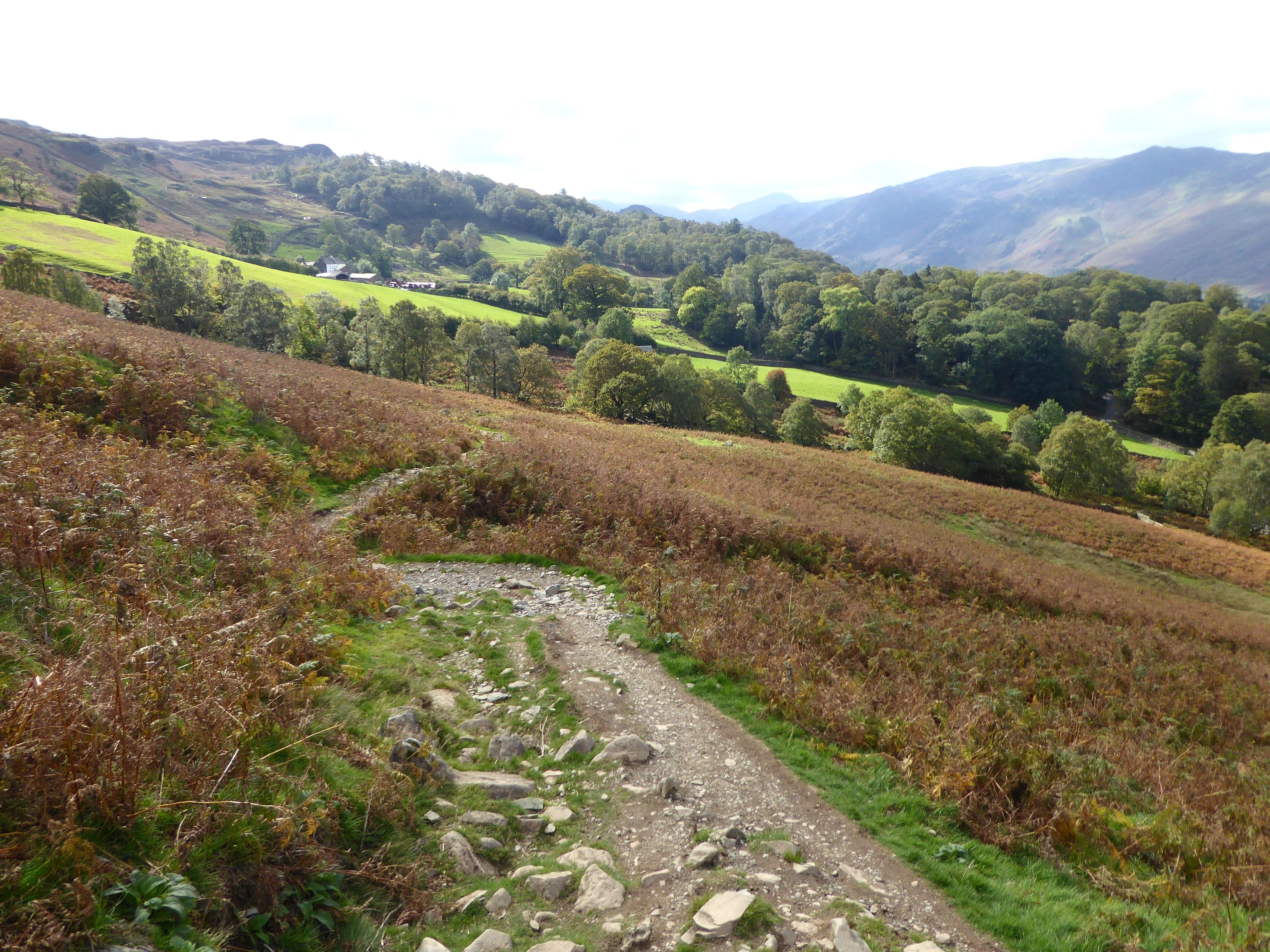 A stony path dropping through copper bracken with the green vale beyond