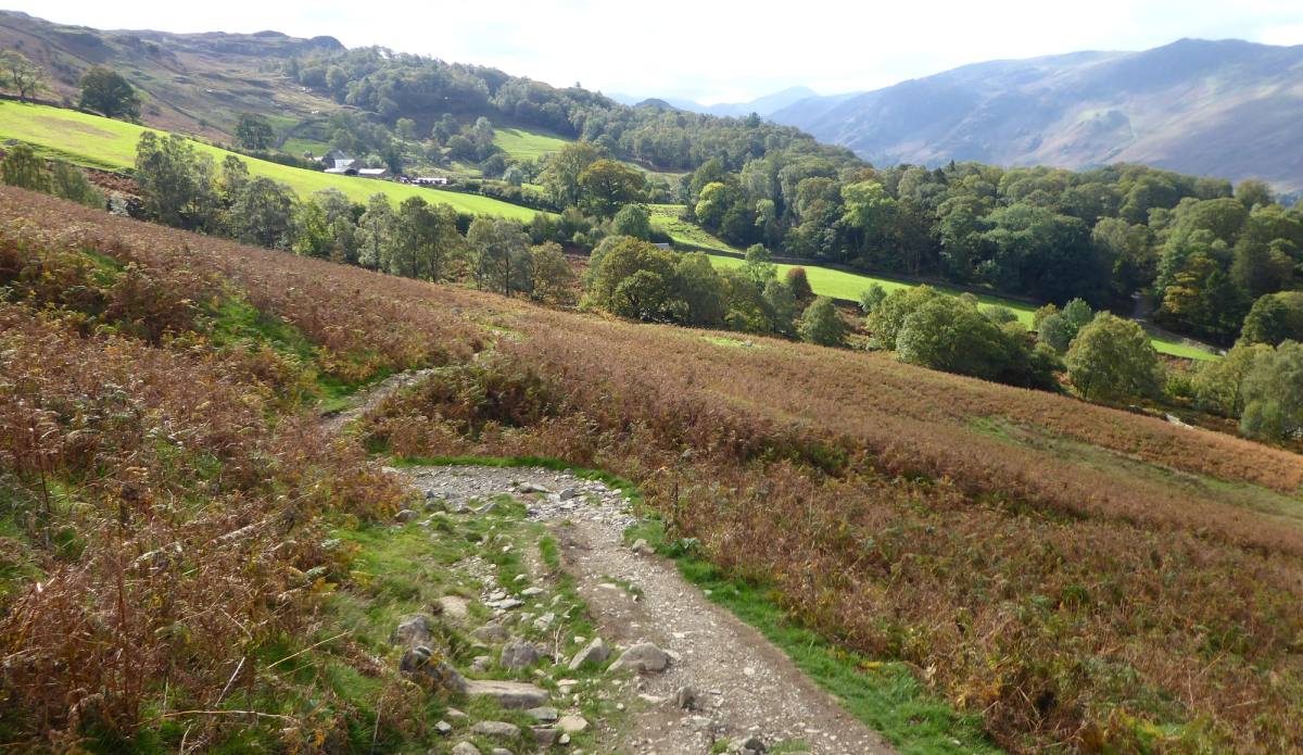 A stony path dropping through copper bracken with the green vale beyond