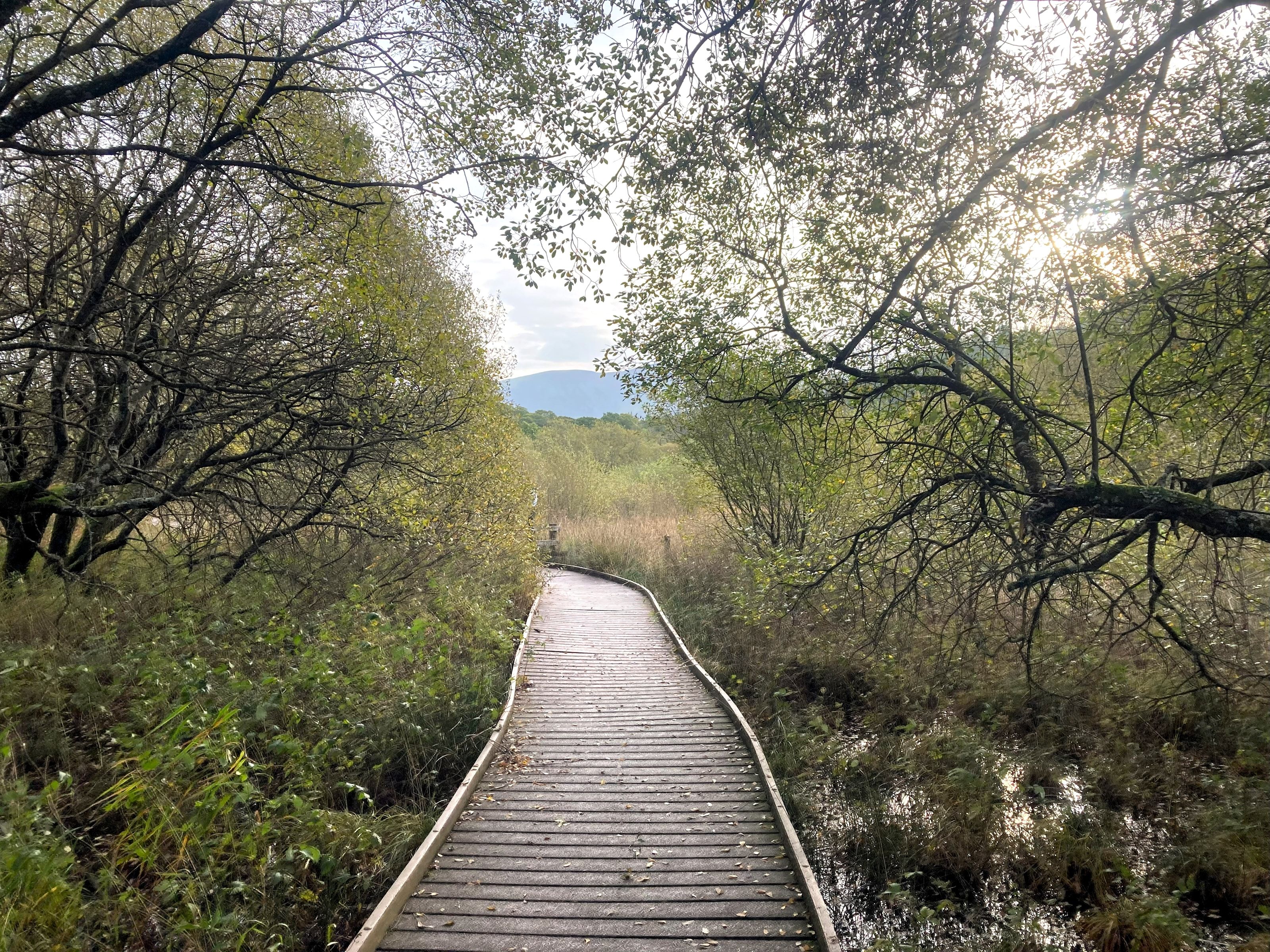 dubwath silver meadows the lake district