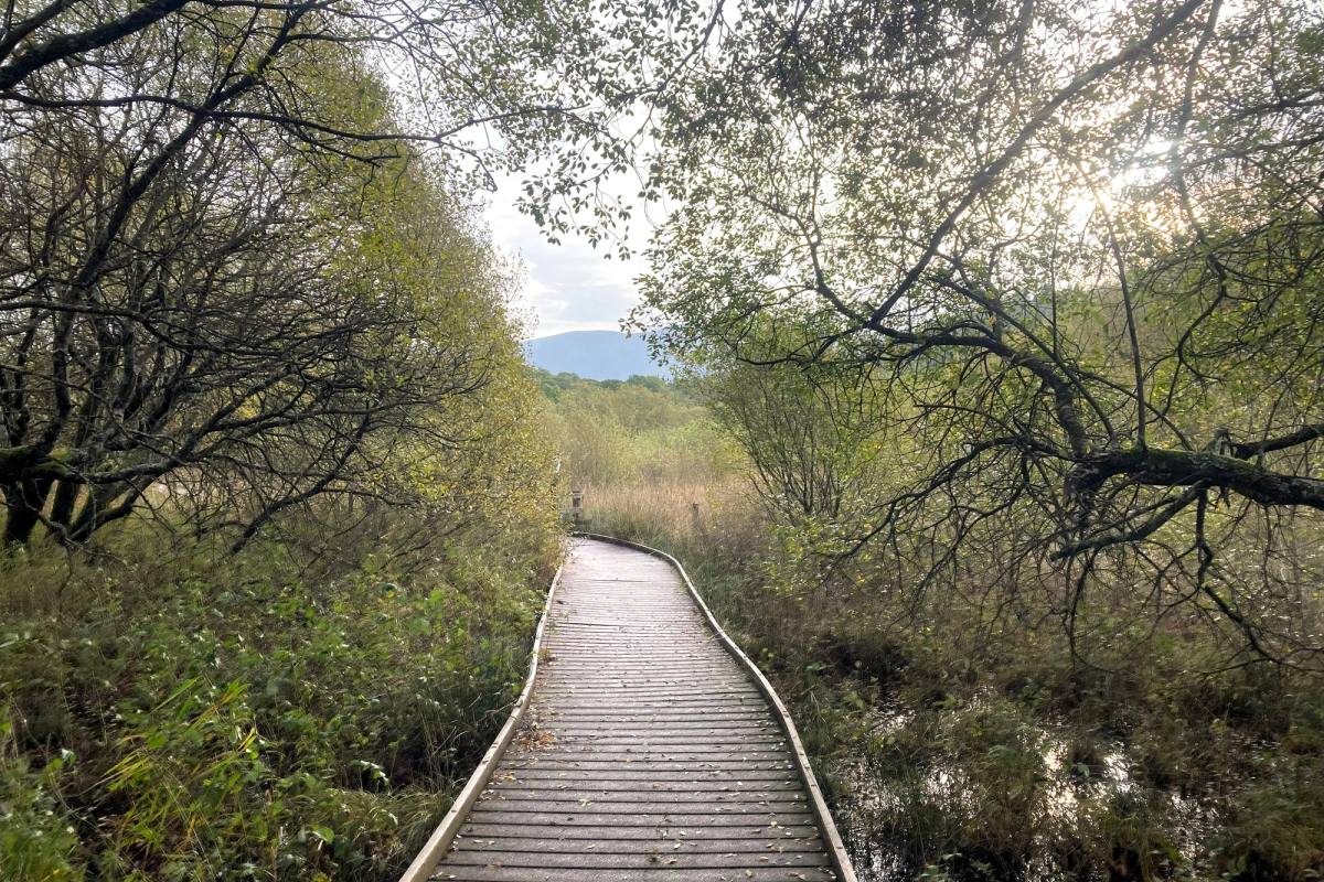 dubwath silver meadows the lake district