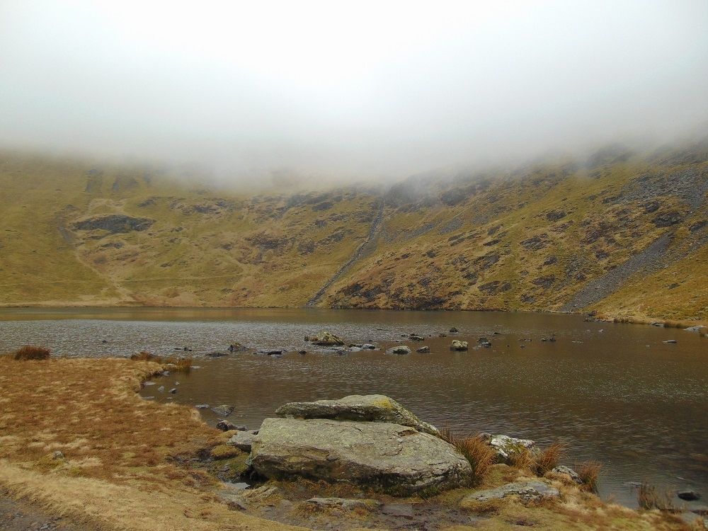A quiet upland tarn with a single tree on its shore