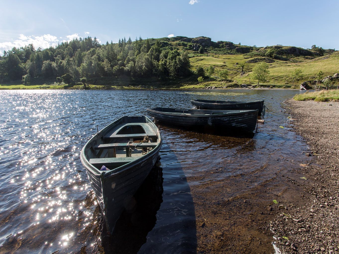 boats on the water 