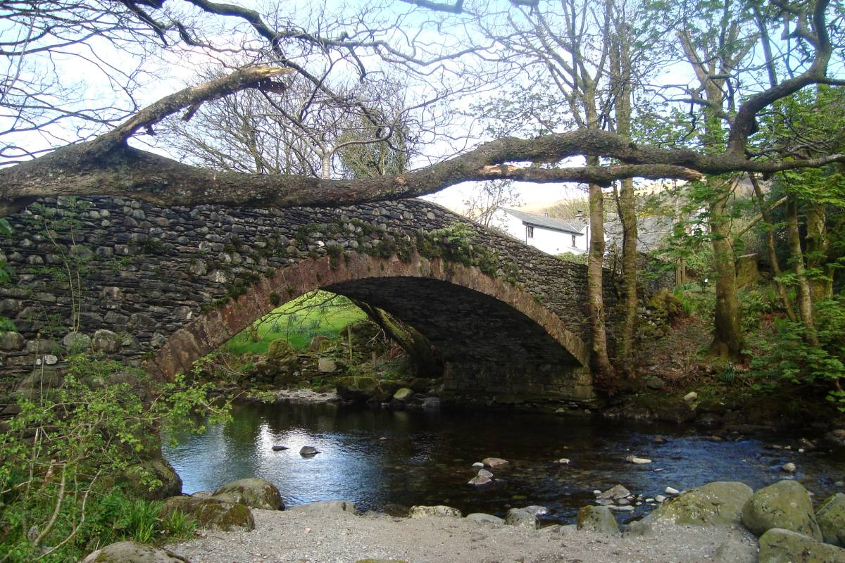 An old stone packhorse bridge over a beck with a leaning tree arching over it