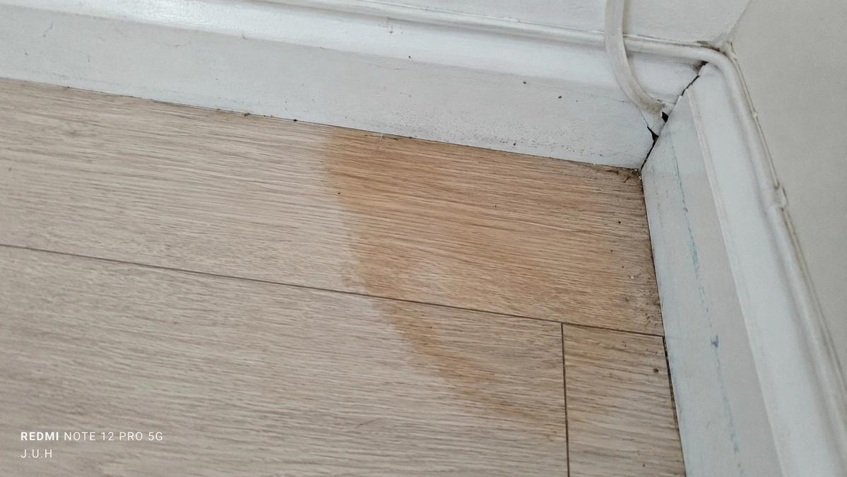 Warm damp patch on laminate flooring, a sign of a slab leak under a concrete floor