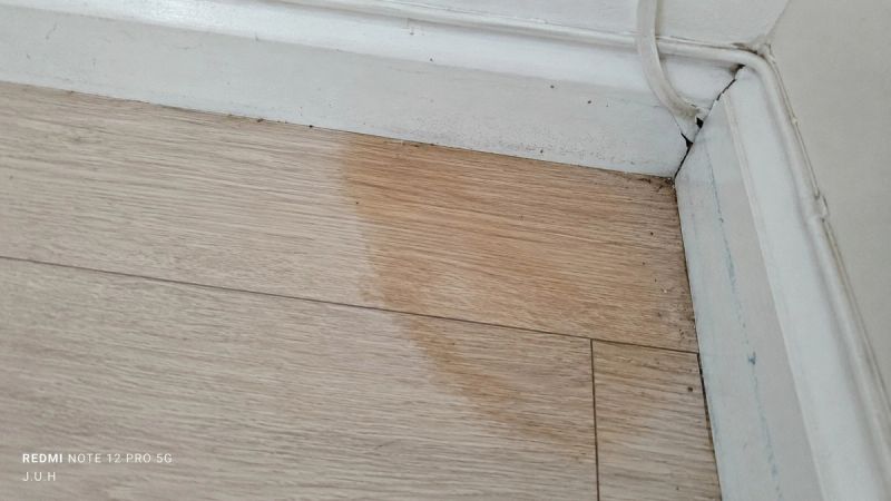 Warm damp patch on laminate flooring, a sign of a slab leak under a concrete floor