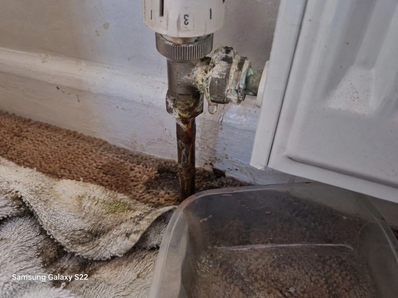 Weeping radiator valve joint with crusty deposits, rust staining and a damp carpet beneath, with a bowl catching drips