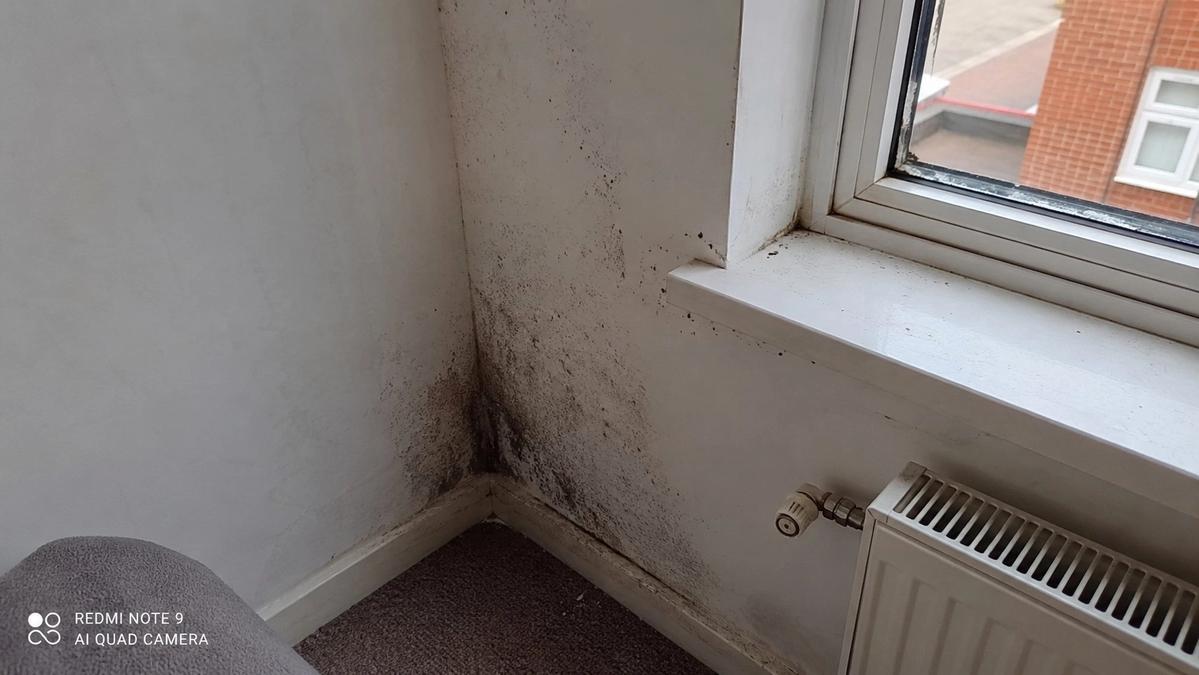 Black mould spotting in a cold corner near a window in a UK bedroom