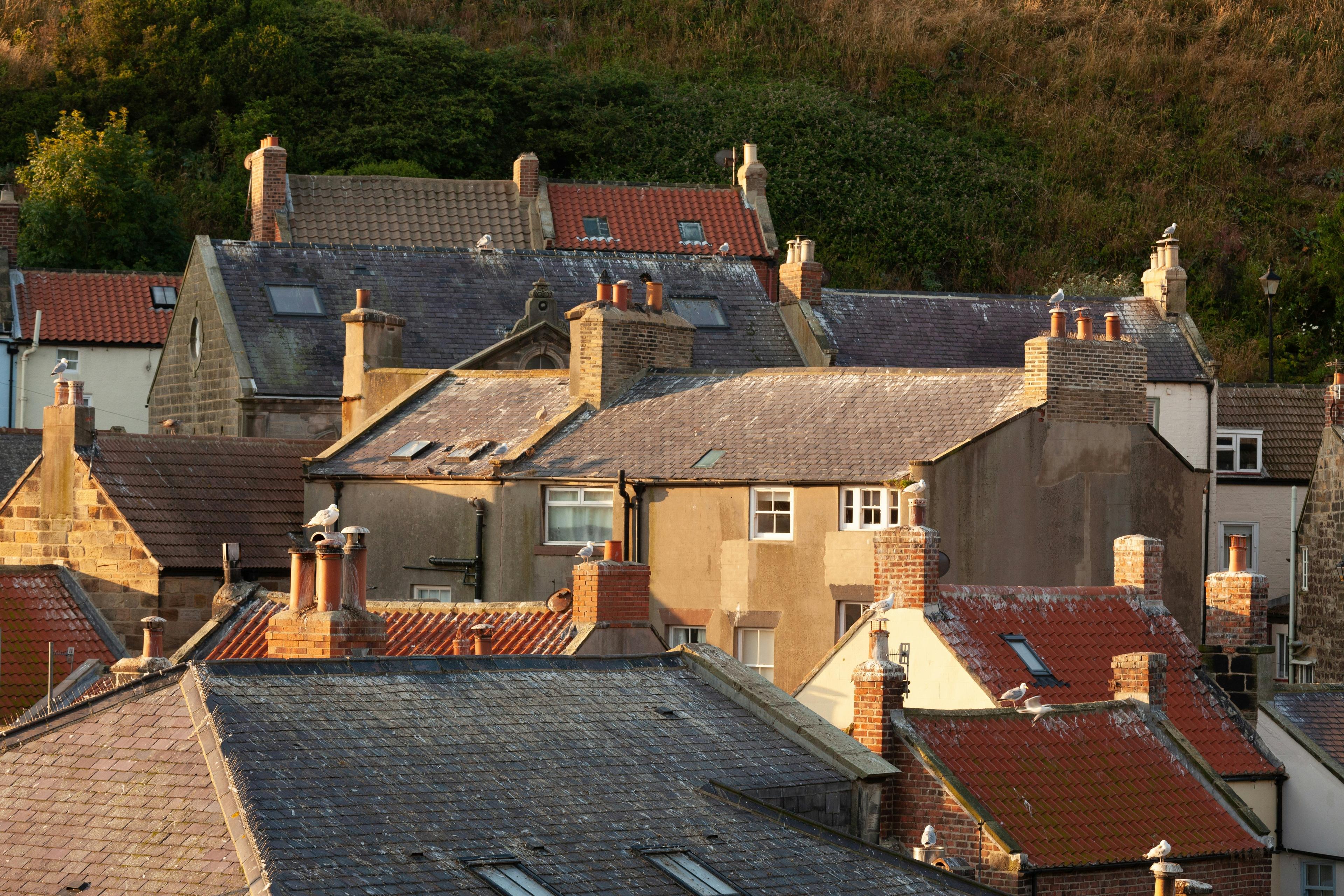 Rooftops with chimneys