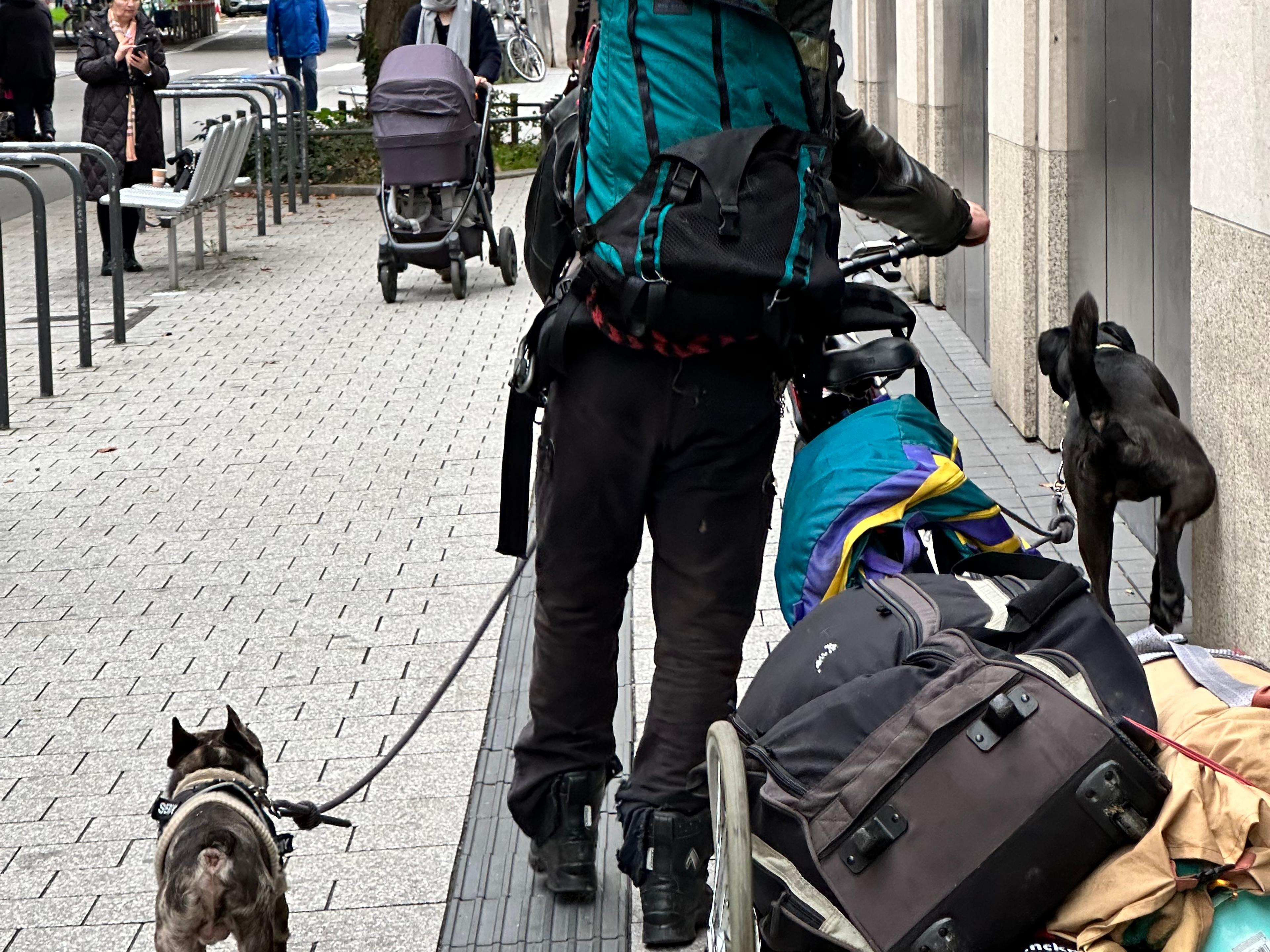 A homeless person with their dog carts their belongings to their next destination on foot.