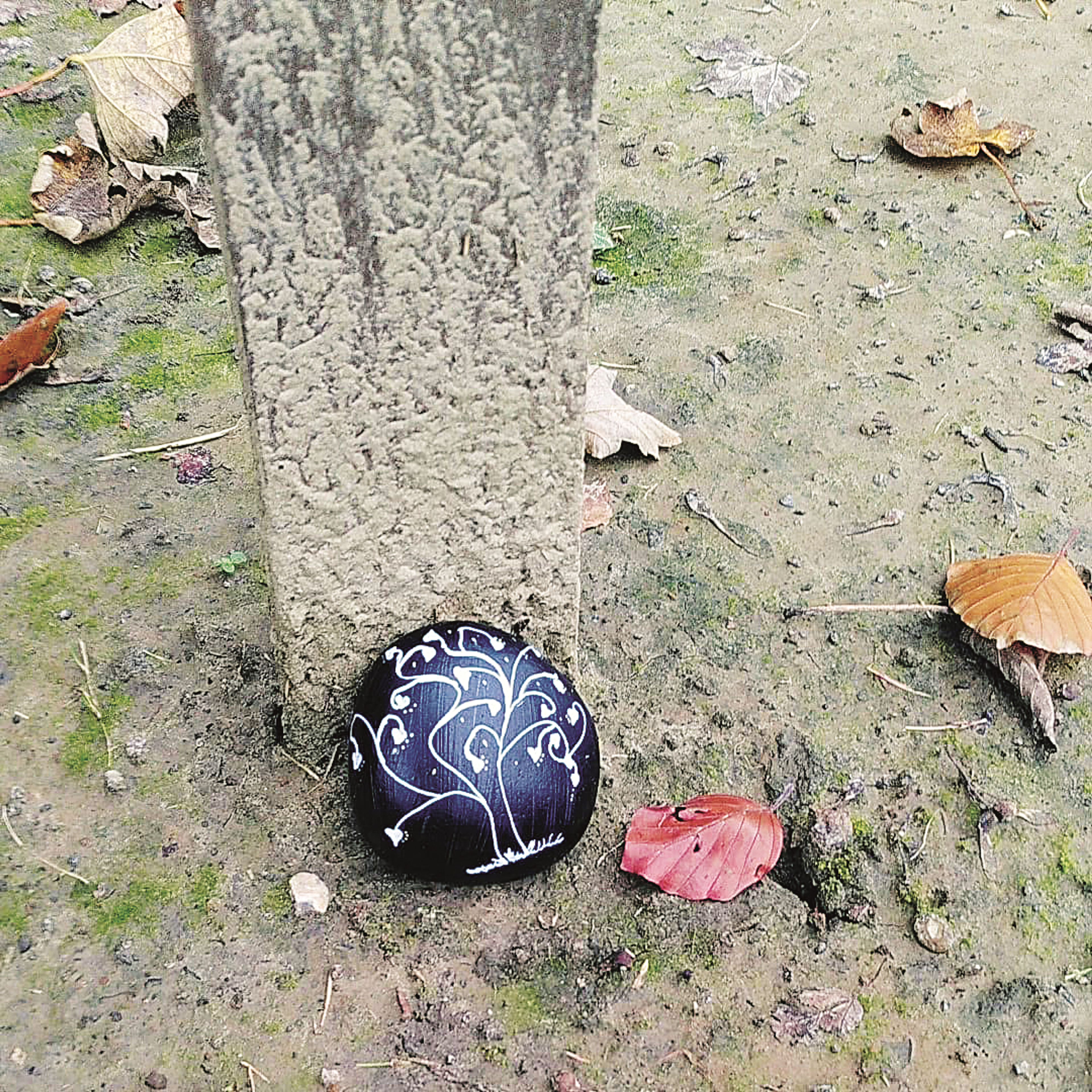 rock next to a tree