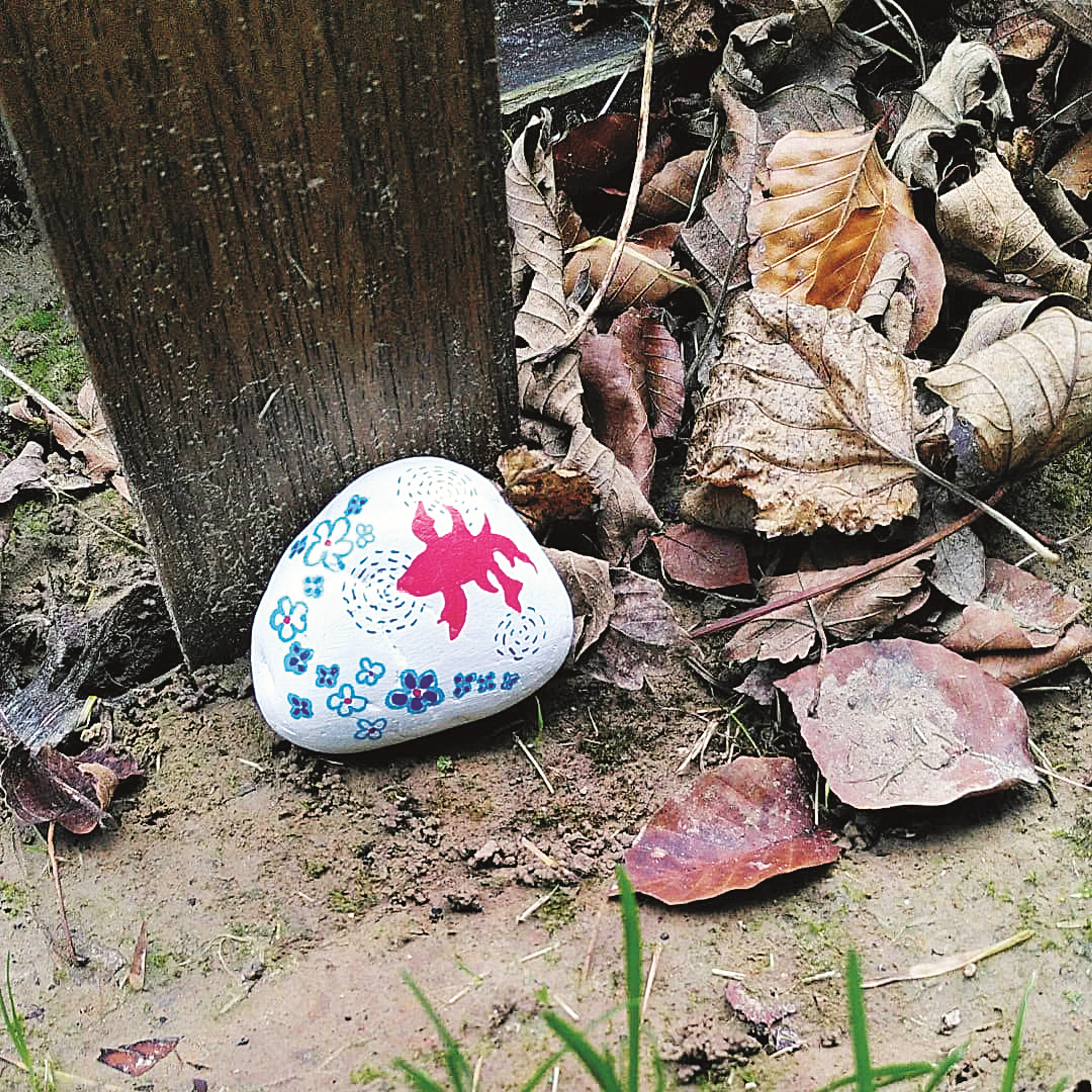 rock next to a tree