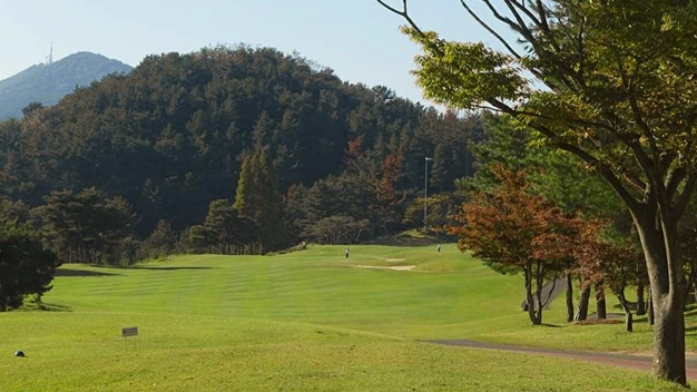 A golf course with a green fairway, a tree-lined path, and a forested mountain in the background.