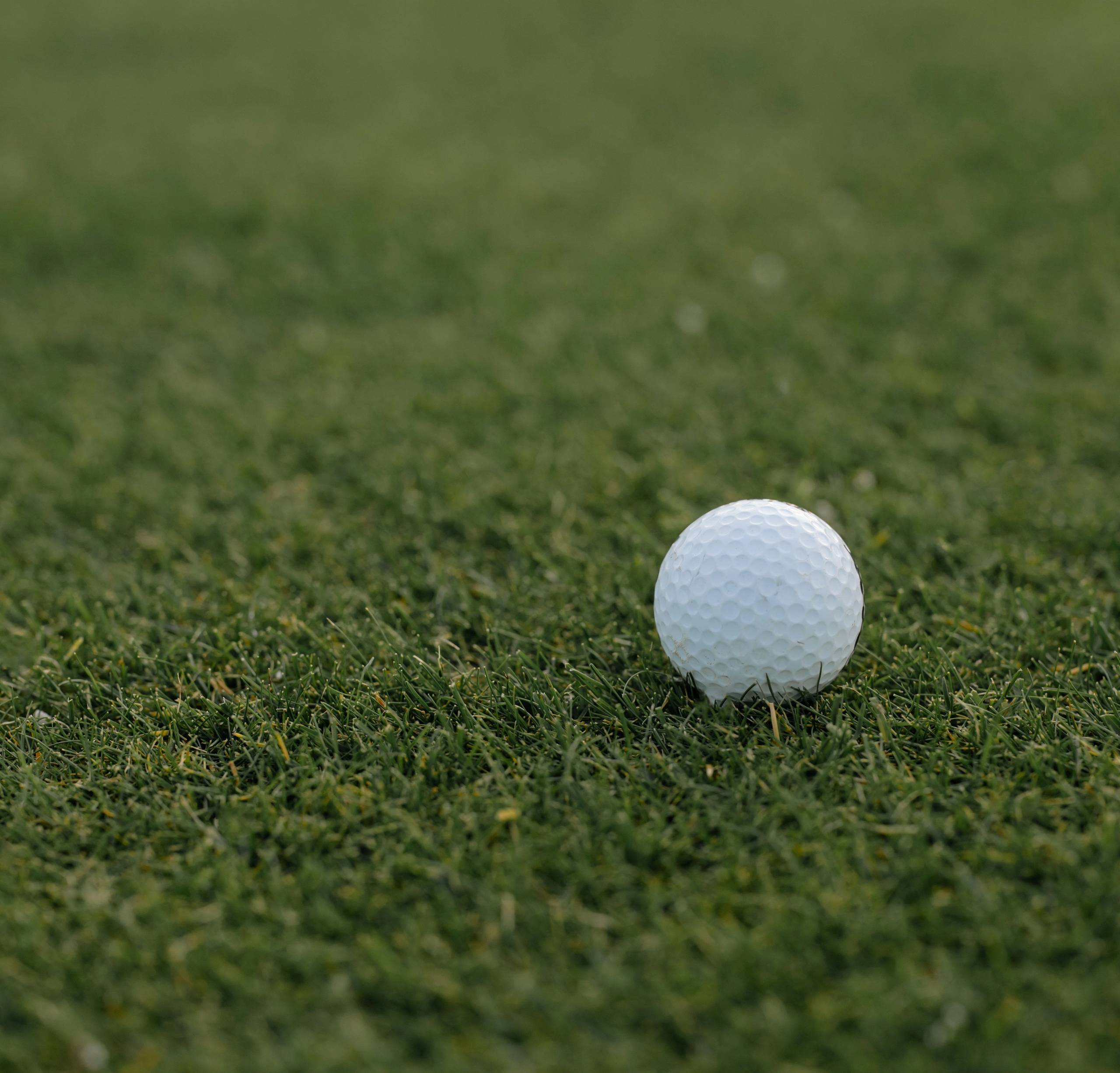 A white golf ball rests on green grass.