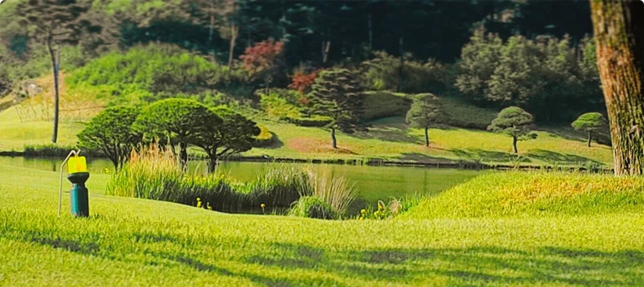Uneekor Refine+ Golf Course Bora