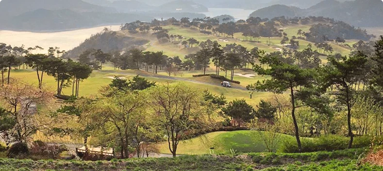 Uneekor Refine+ Golf Course Gold Lake