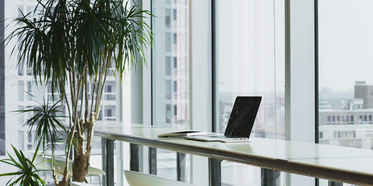 UNDERSTANDING VIRTUALIZED VIDEOCONFERENCING