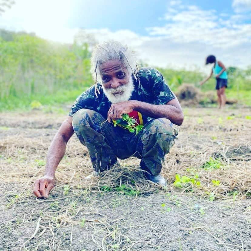 Mestre Cobra Mansa planting in Kilombo Tenondé, Bahia, Brazil